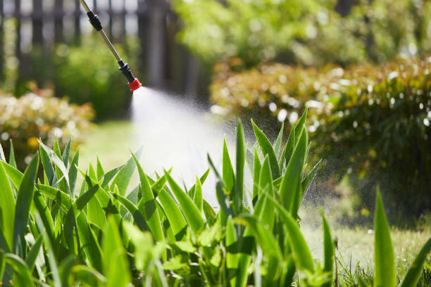 Tamper-Resistant Bait Stations for Rodents in Richmond