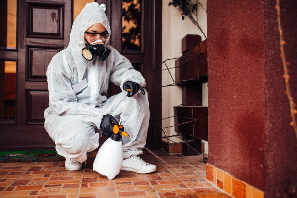 Attic and Crawl Space Rodent Treatment in Richmond