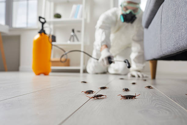 Commercial Rodent Management in Richmond